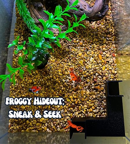 Miniatura 8 de Chatelet Túnel subterráneo de acuario  Escondite de peces y camarones para acuarios  Túnel de visualización subterráneo único  Fabricado en Estados