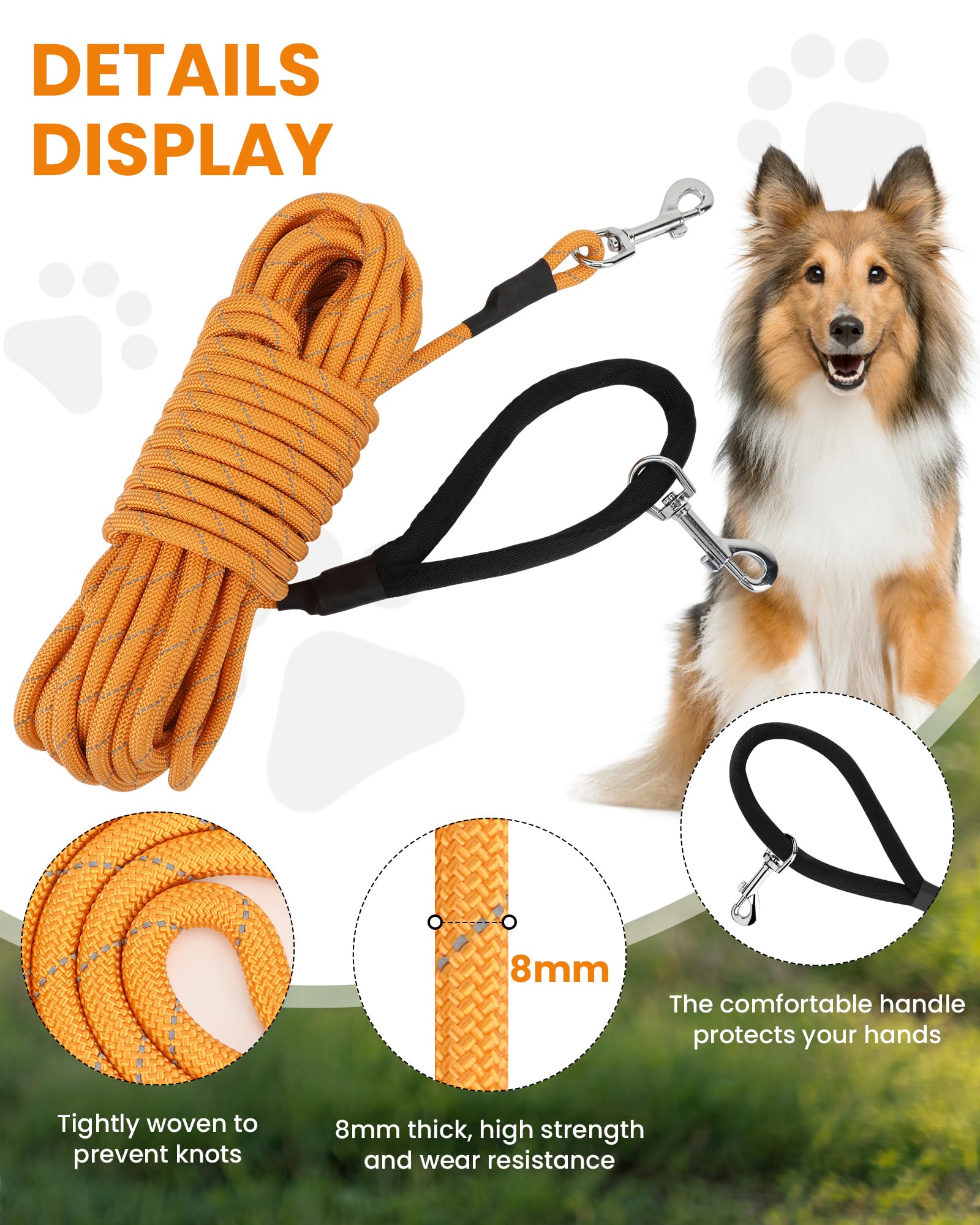 PETTOM Longe Chien 3m 5m 10m 15m 20m, Laisse Chien Longue avec 2 Mousquetons, Longe Corde d'attache Réfléchissante, 10m, Orange