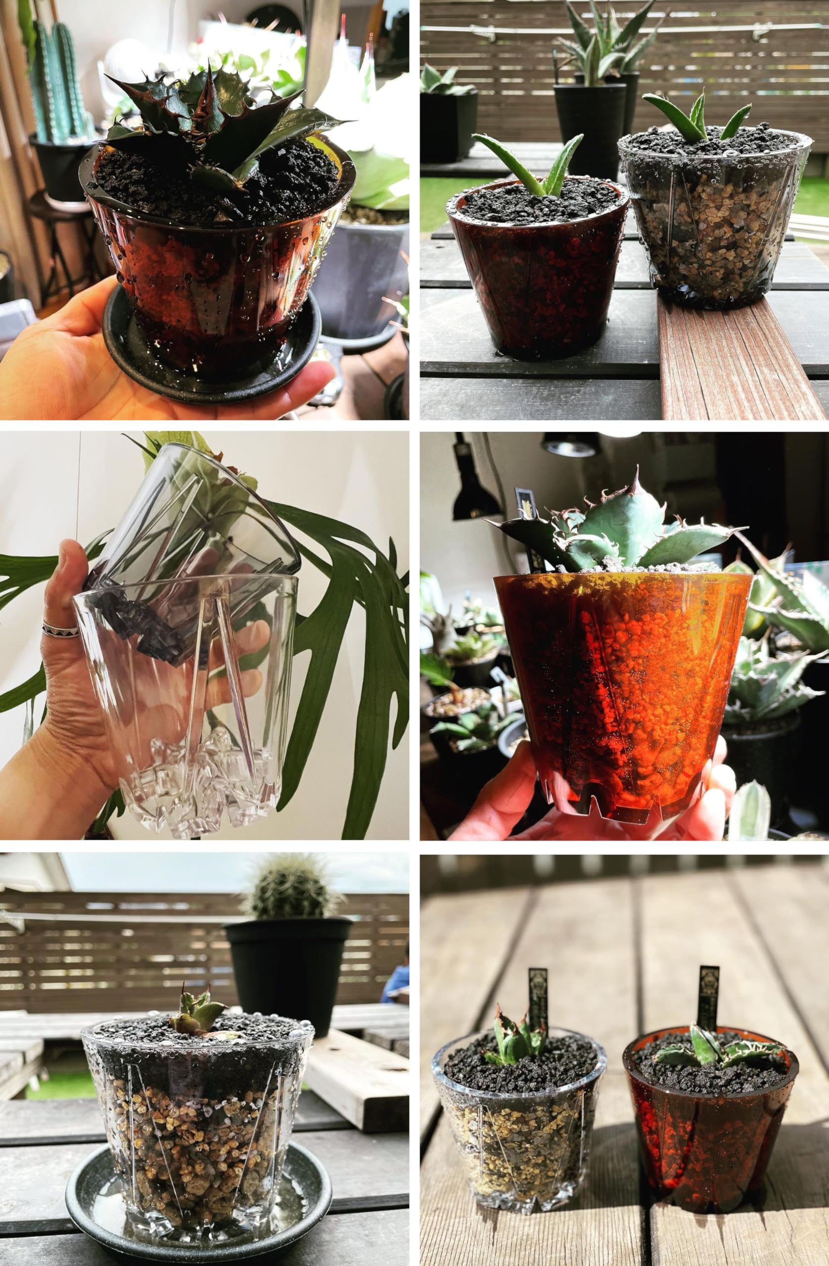Amazon.co.jp: SCOOPボウル 育苗ポット 観葉植物 塊根植物 多肉植物
