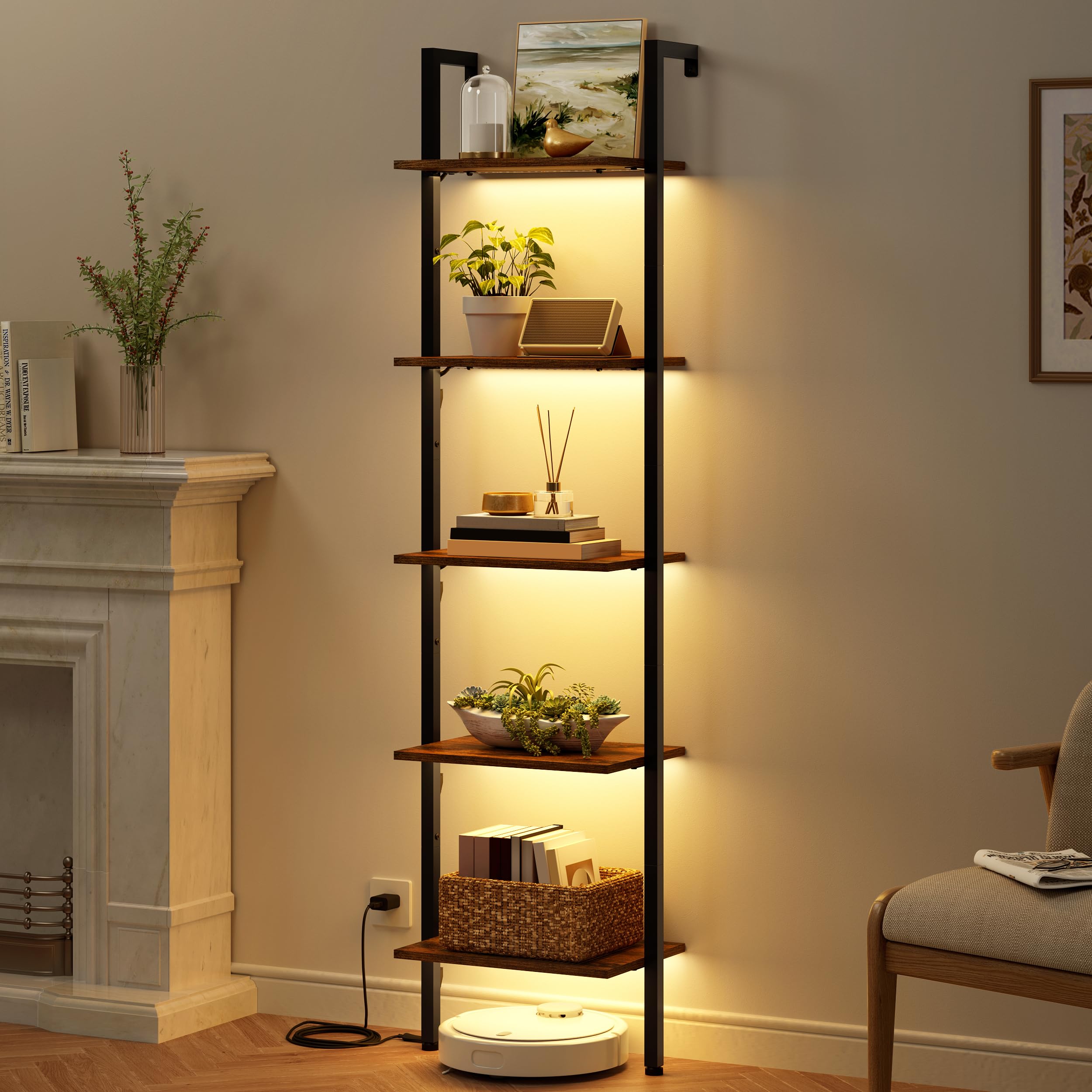 Amazon.com: Tajsoon 5-Tier Ladder Shelf with LED Light, Wall