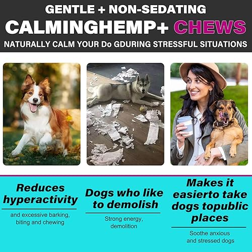Miniatura 5 de Masticables calmantes para perros, golosinas calmantes para perros con aceite de cáñamo para perros Ansiedad y alivio del estrés para perros