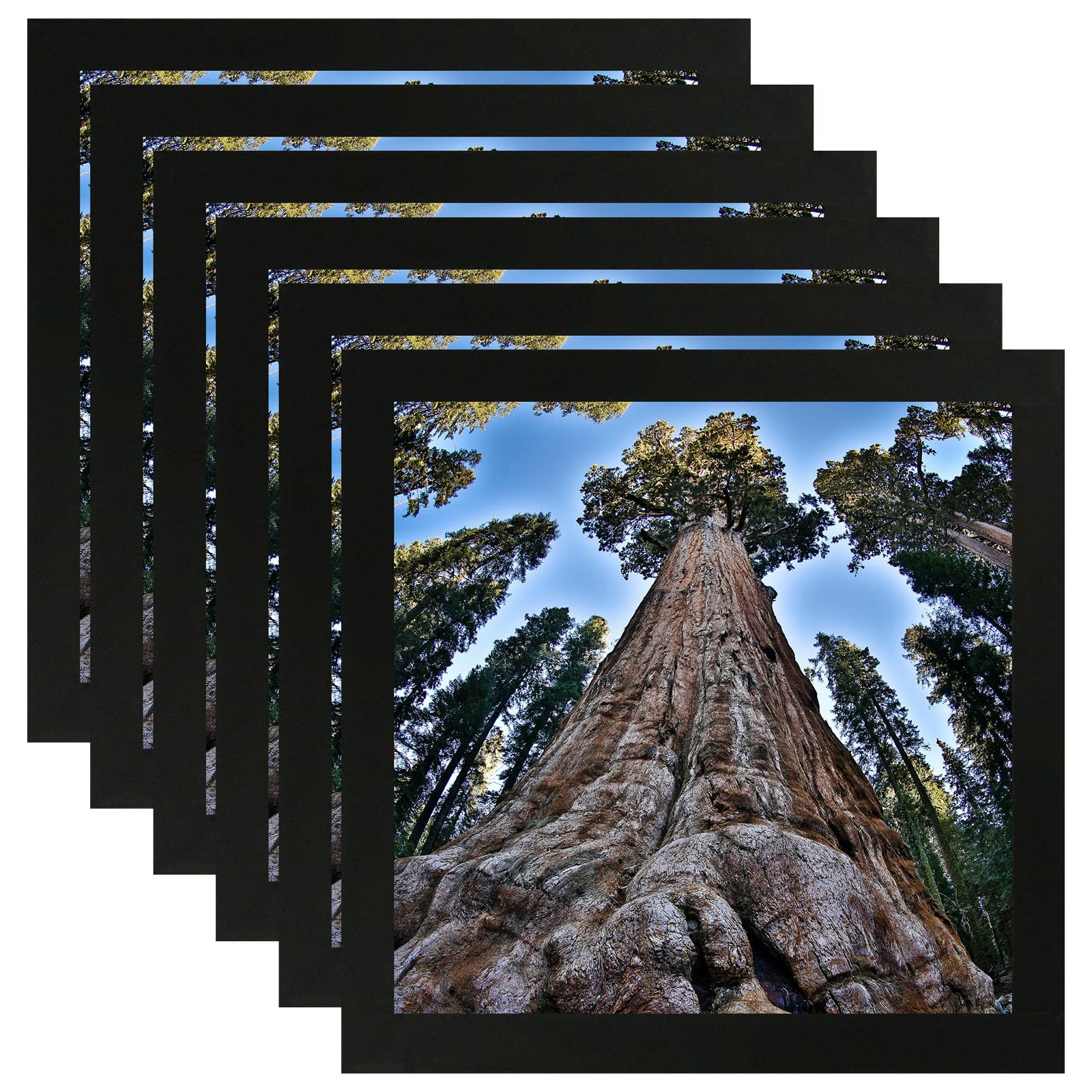 YYTRABAJO 5x5 Square Picture Frame Black Photo Frames Display for Wall and Tabletop, Set of 6