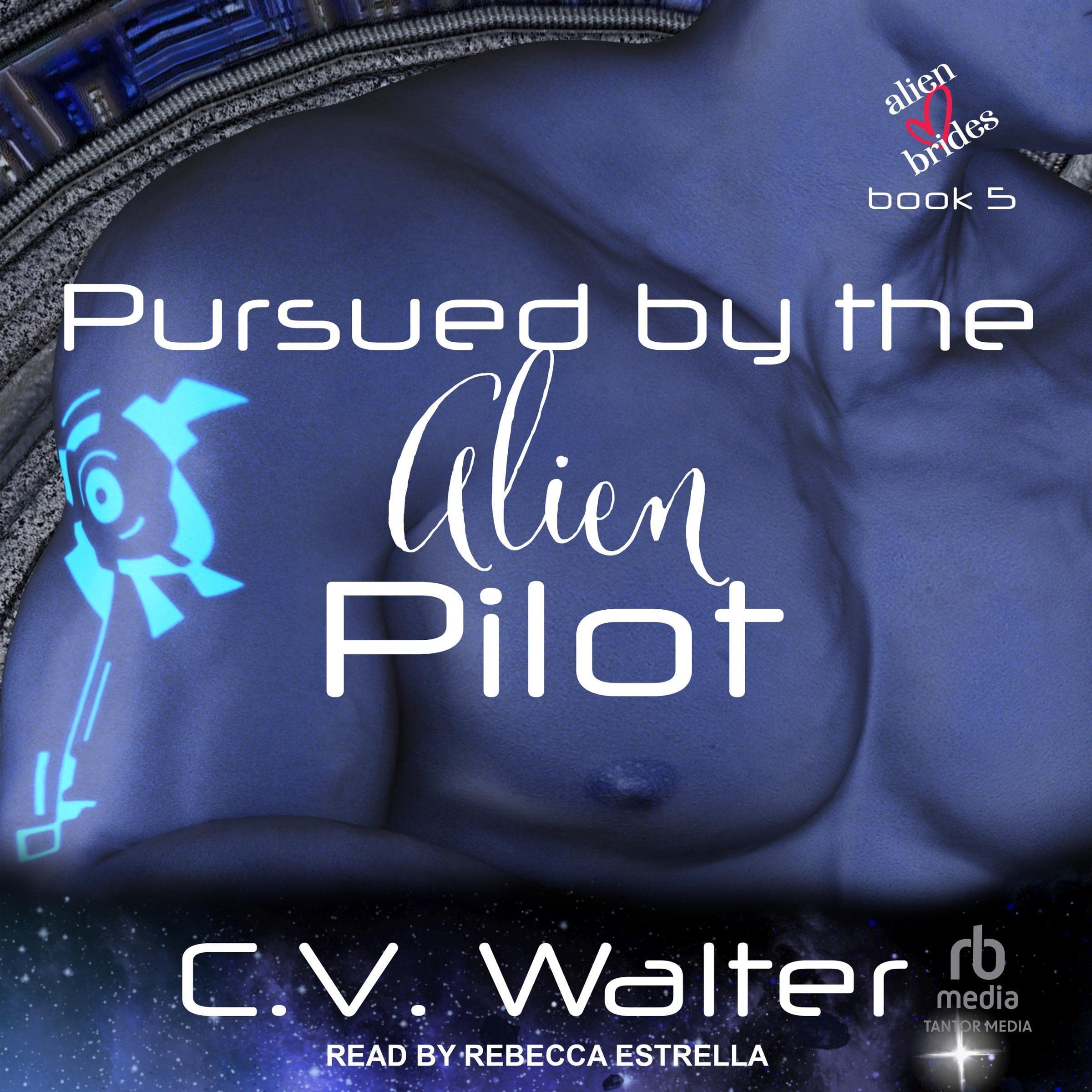 Cover art for Pursued by the Alien Pilot