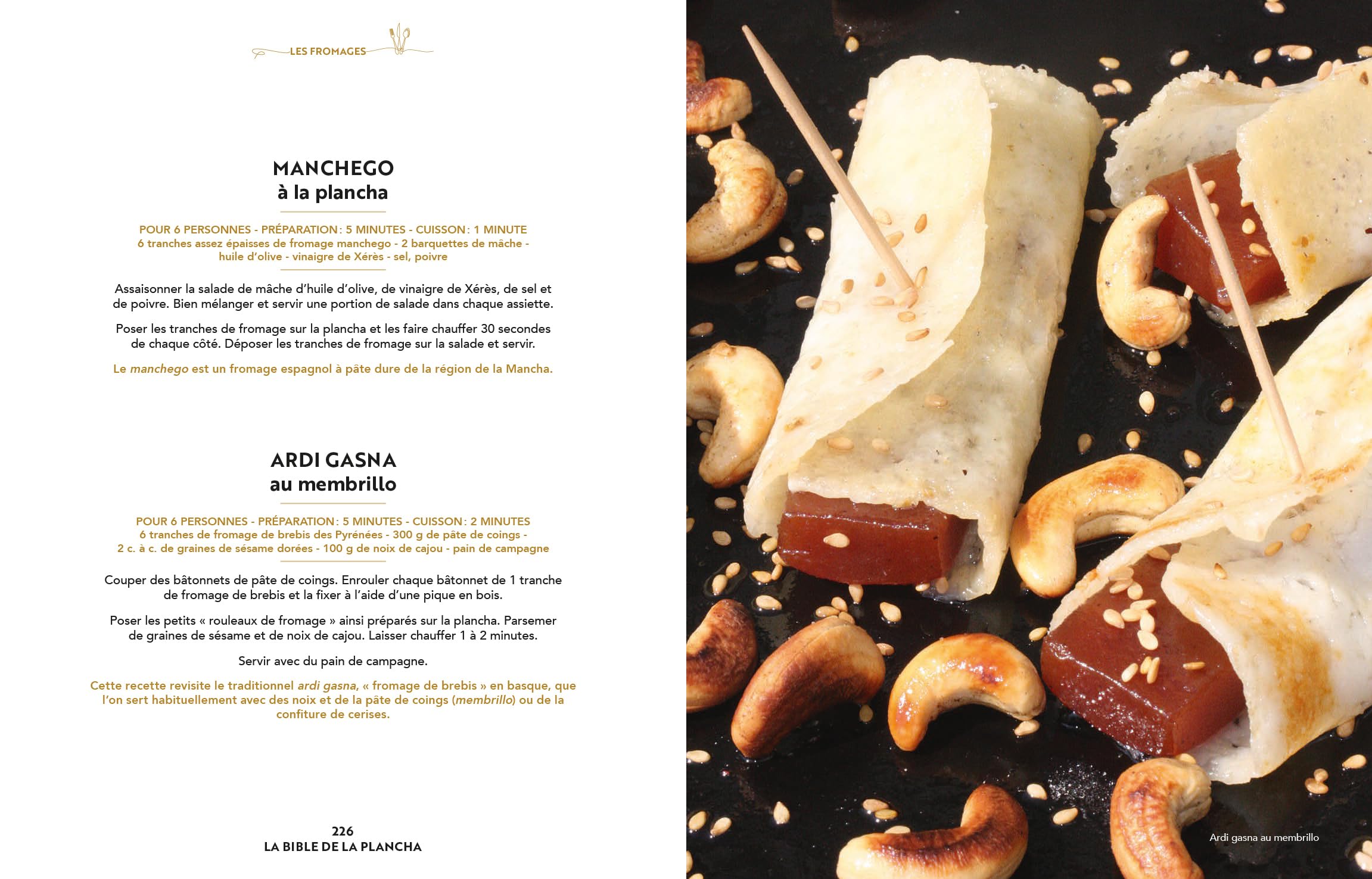 LA BIBLE DE LA PLANCHA: 200 recettes des tapas aux desserts