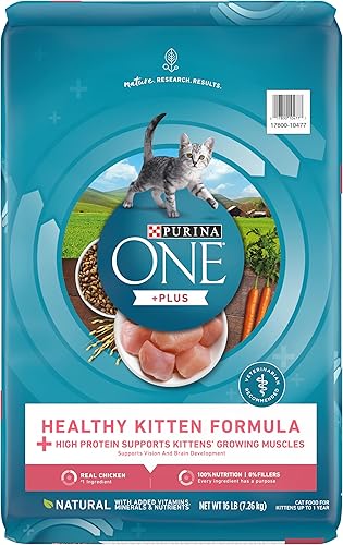 Purina ONE Healthy Kitten Dry Wet Kitten Food