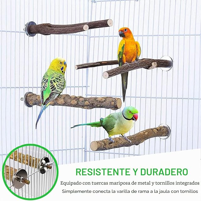 Foto 6 de 7 de Lushly 4 Piezas Perca de Pájaro de Madera Natural, Ramas de Madera en Forma de Jaula