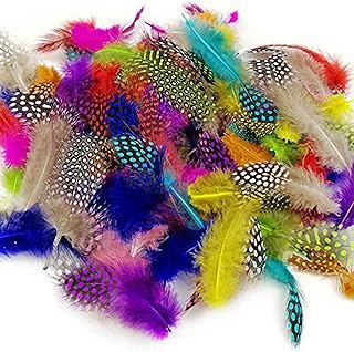 JPSOR 120pcs Feathers for Craft Colorful Spotted Craft Feathers, 3-6 Inches 10 Colors for DIY Party Jewelry Clothing Decor...