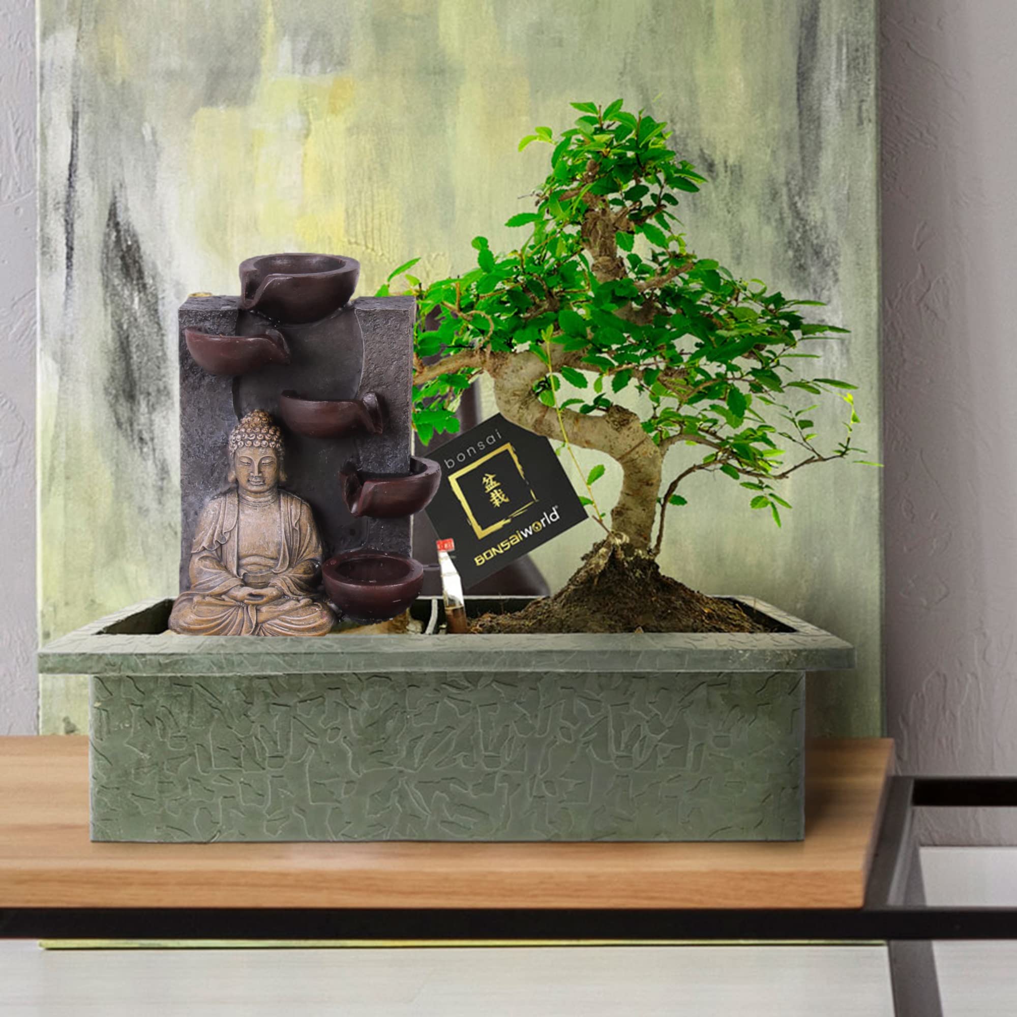 Vdvelde․com - Echter Bonsai Baum Set ca. 30 cm - Keramik Topf, Schere & Pflege Set - Buddha Zimmerbrunnen - Zen Tischbrunnen - Komplettset Zimmerpflanze
