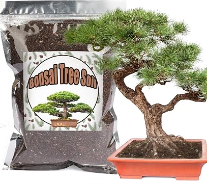 Doter Bonsai Soil Mix 4qt Ready to Use, Organic Bonsai Tree Soil Fits for Small Bonsai Pot, Suitable for Bonsai Seedling, Repotting, or Bonsai Starter Kit