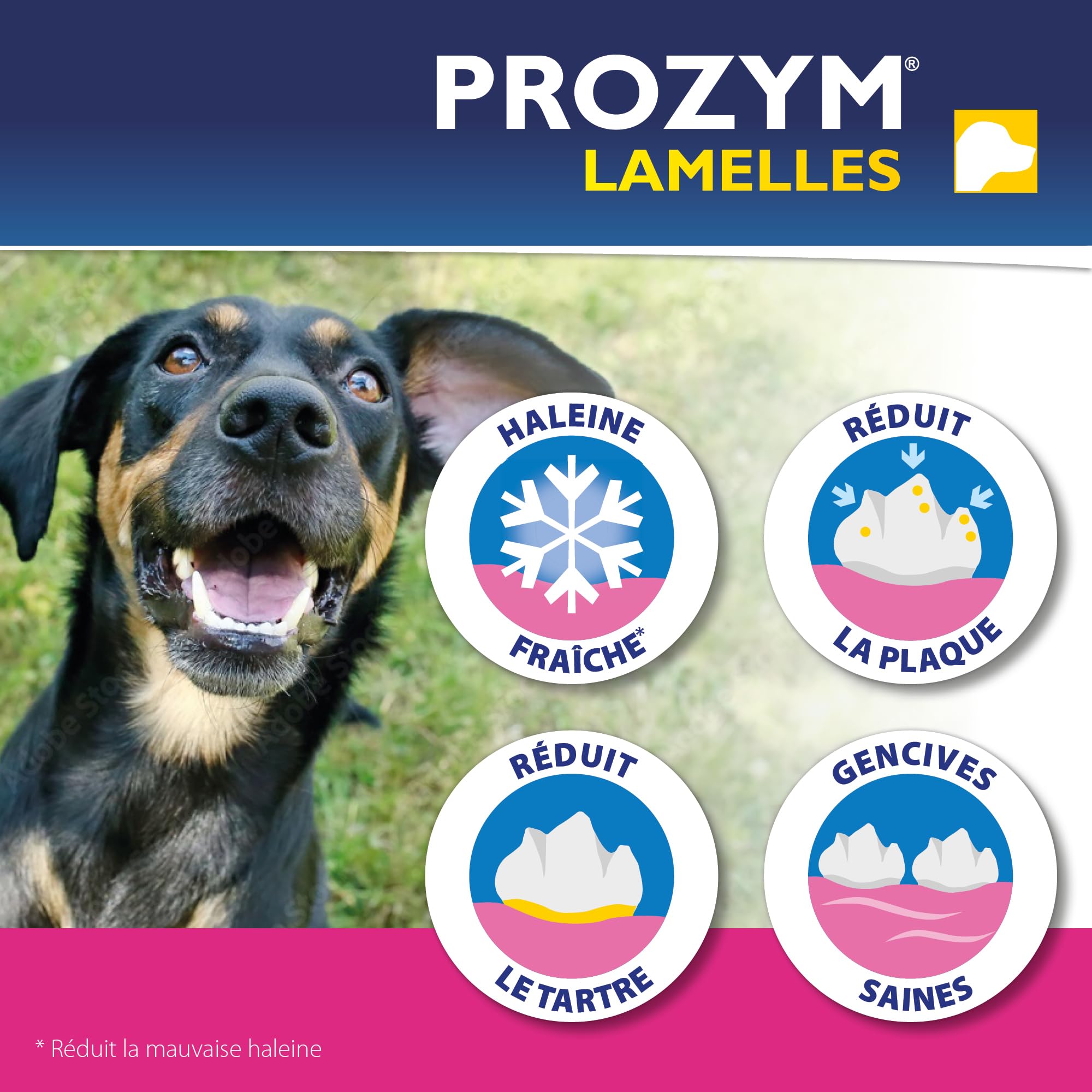 Prozym 15 Lamelles pour Chiens - Soin Dentaire à mâcher - N°1 chez Les vétérinaires - Haleine fraîche - Anti-tartre - Anti-Plaque - Gencives saines (L)