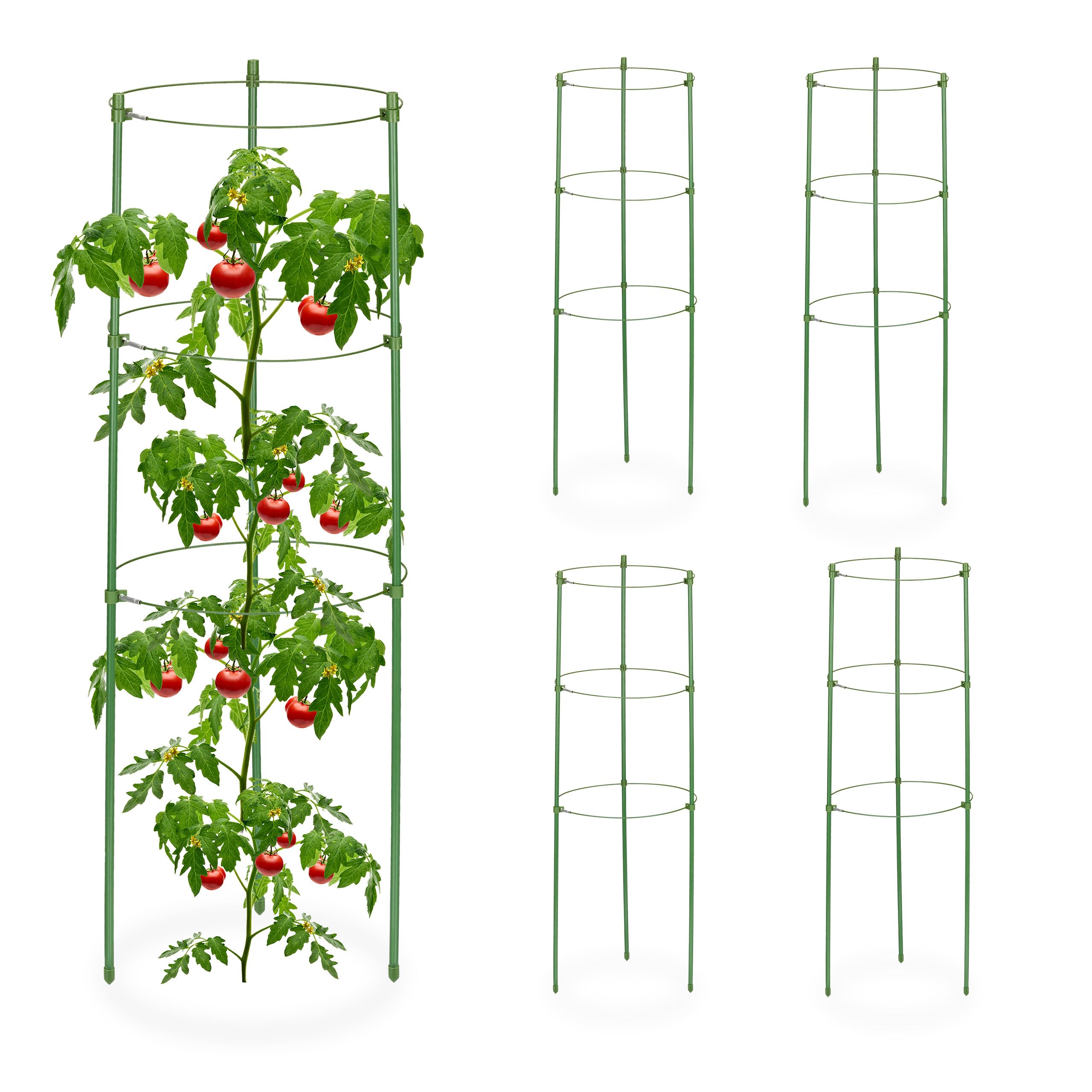 Relaxdays Tuteur à tomates, Lot de 5, 3 Anneaux, HxD : 60 x 20 cm, pour Plantes Utilitaires, métal & Plastique, Vert