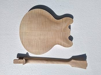 Amazon.co.jp: MUSOO プロジェクト セミ ホロウ ボディ エレクトリック