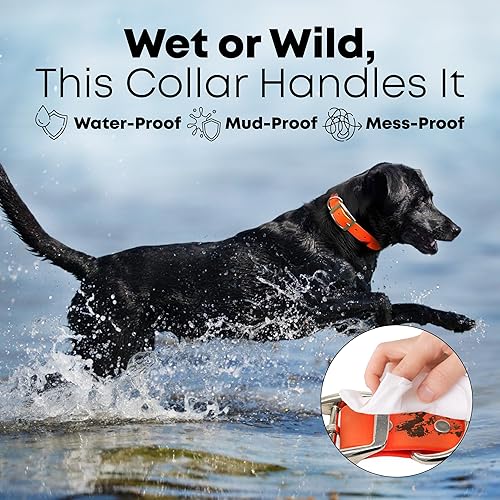 Miniatura 4 de Regal Dog Products Large Orange Dog Collar with Custom Engraved Name Plate - Custom Fit, Resistant, Easy to Clean Biothane Waterproof Personalized