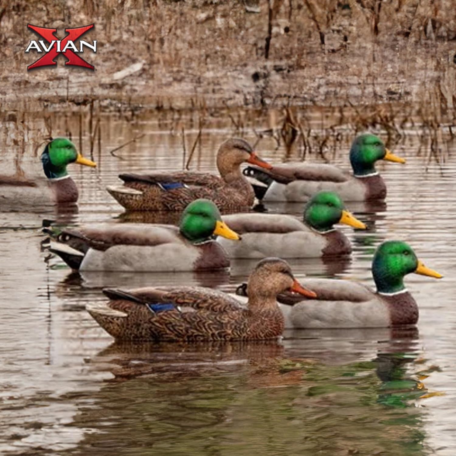 Avian-X Topflight Open Water Duck Durable Realistic Hunting Floating Mallard Decoys, Pack of 6, AVX8060