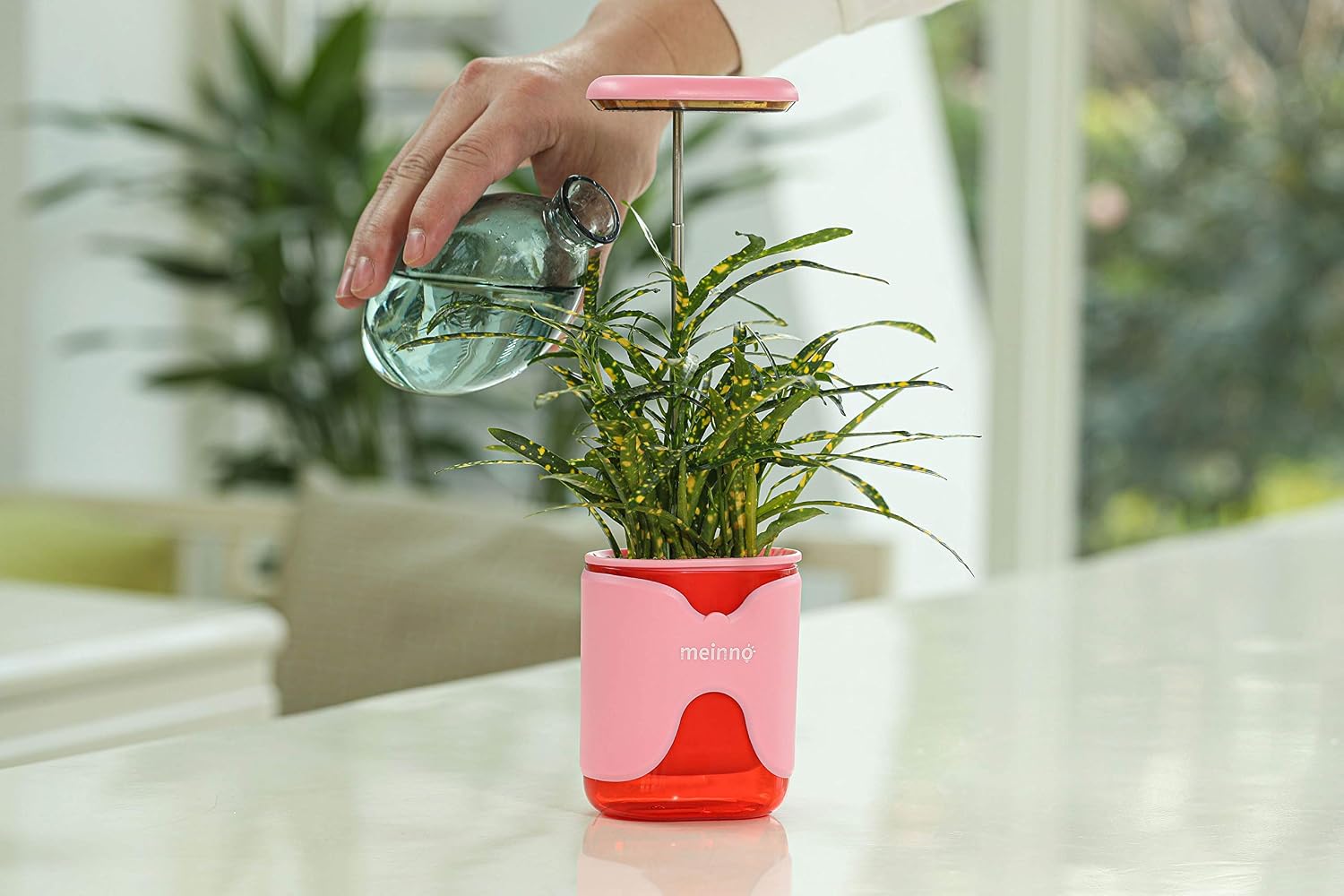 meinno A Tiny Garden in Your Palm. Growing is Fun Again.Telescopic LED Lights, Multiple mounts, and self-Watering System Brings Thriving Plants Everywhere. (Pink)
