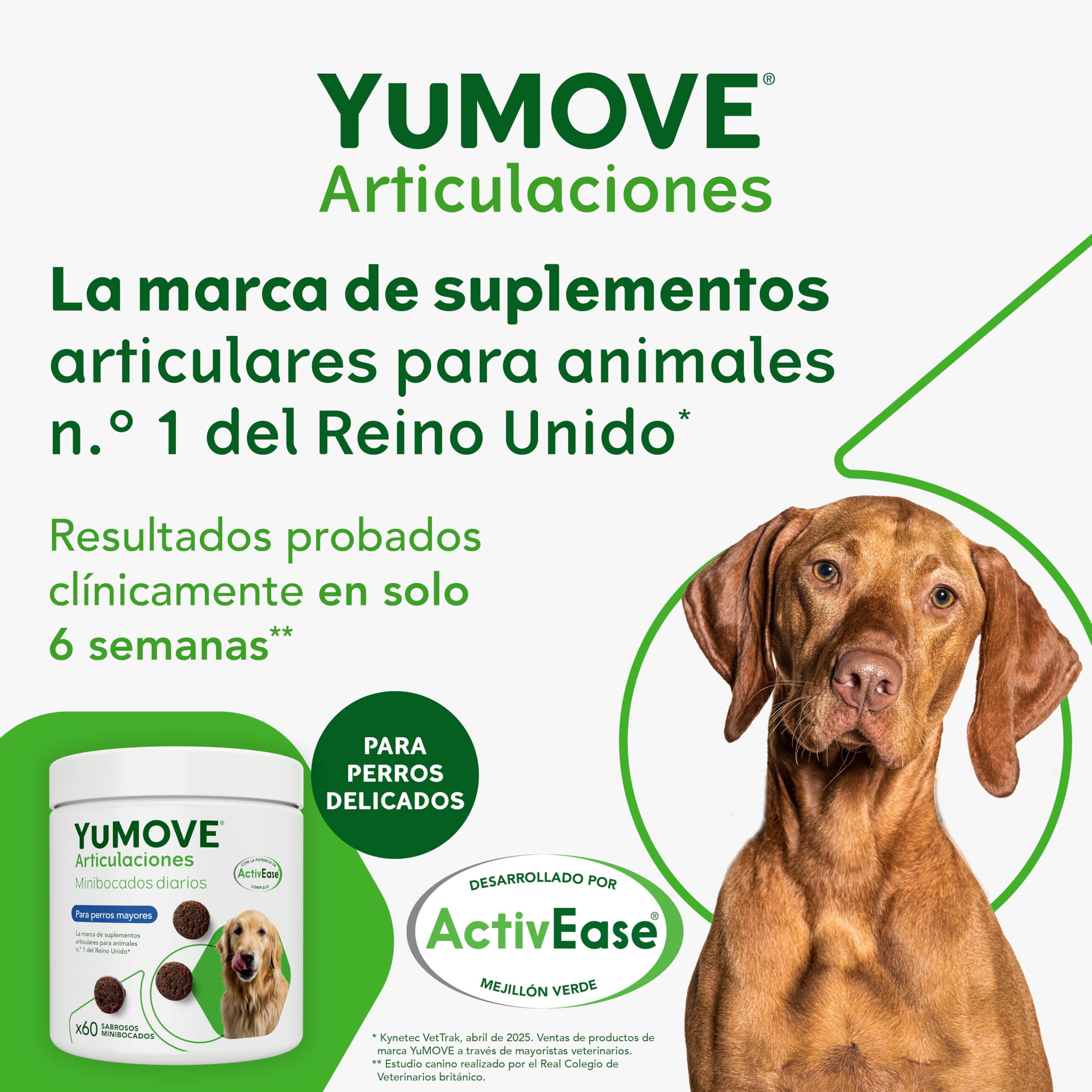 YuMOVE Condroprotector Perros 60 Masticables - Articulaciones Perro Senior +8 Años con Mejillon Labio Verde Complejo ActivEase de 150mg Cada Masticable & Aceite de Pescado - Movilidad del Canino