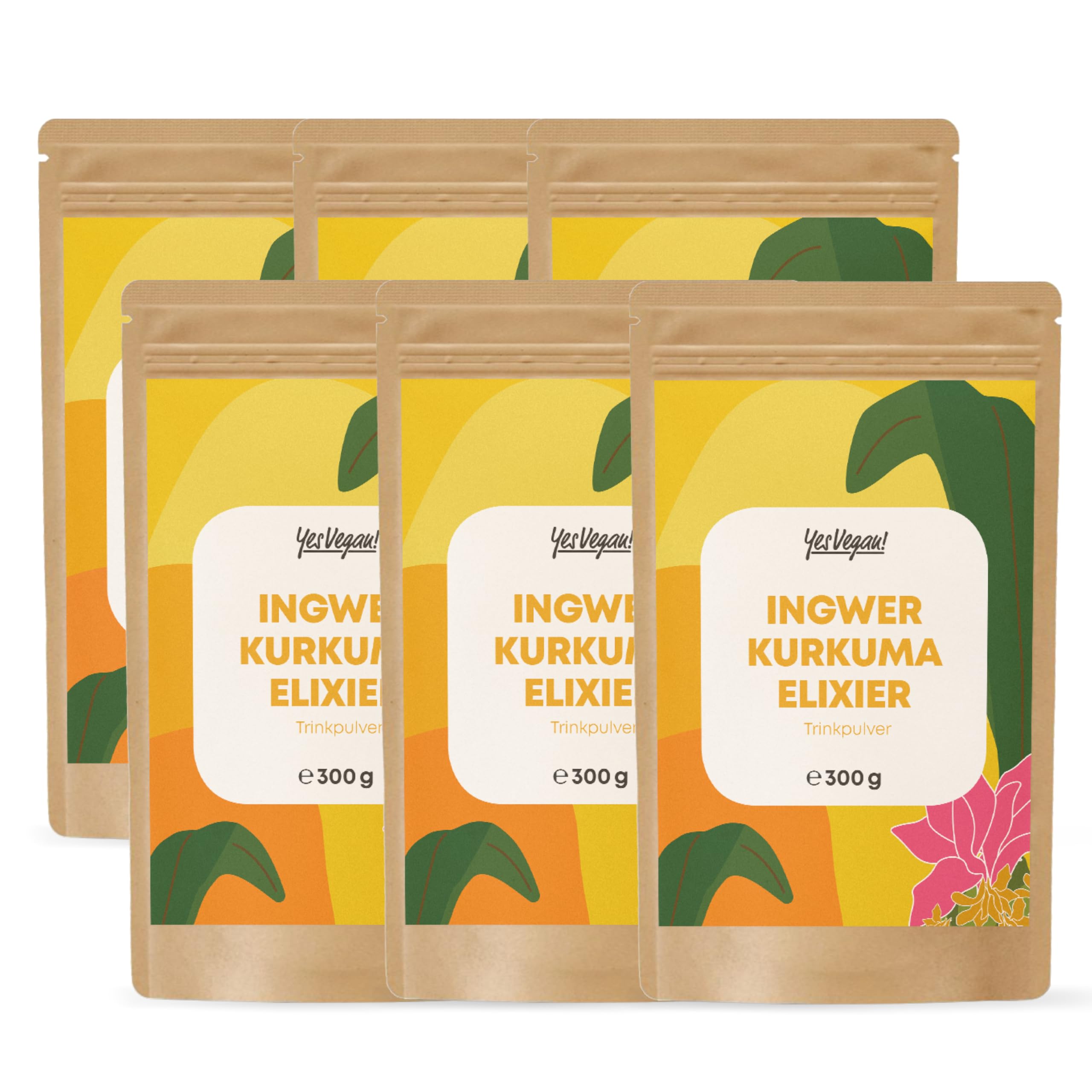 Ingwer Shot mit Kurkuma - (300 g = 300 Portionen) - Immun Boost hochdosiert I Ingwer Kurkuma Shot Pulver (6 x 300g)