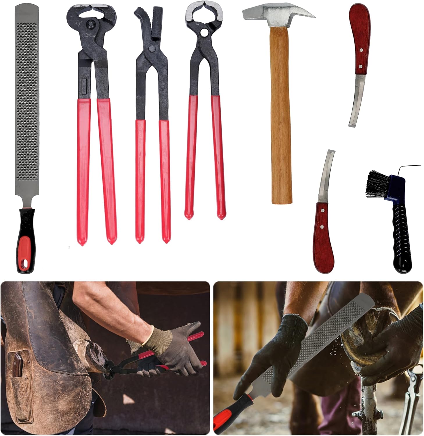 8Pcs Farrier Hoof Tool Kit Horse Hoof Trimming Tools Farrier Hoof Nippers, Horseshoe Cutting Pliers, Hoof Rasp File, Horseshoe Brush, Hoof Knife, Hoof Hammer for Horses Cattle Sheep Donkeys