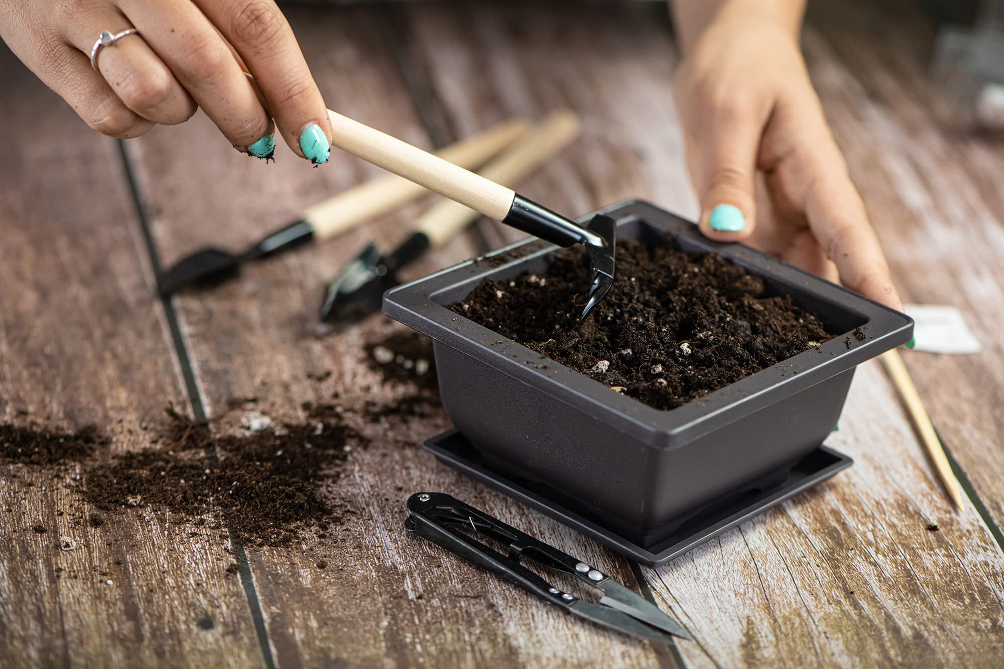 Kit de Démarrage Bonsai Japonais Authentique - 3 Variétés de Graines, Terreau, Pots, Outils, Coffret Cadeau