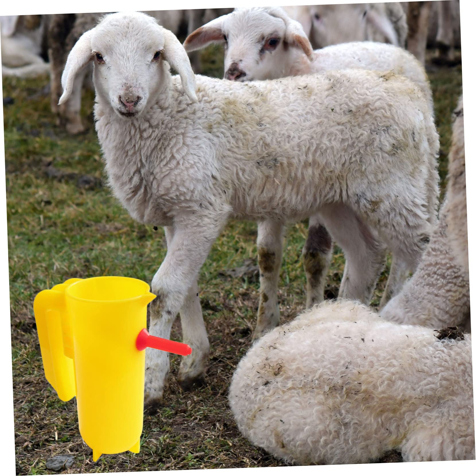 Mipcase 6 Pièces Sucette bouteille de lait accessoires pour bouteilles d'eau outils d'alimentation d'agneau chèvres mamelons d'alimentation d'agneau tétines de biberons d'agneau rouge