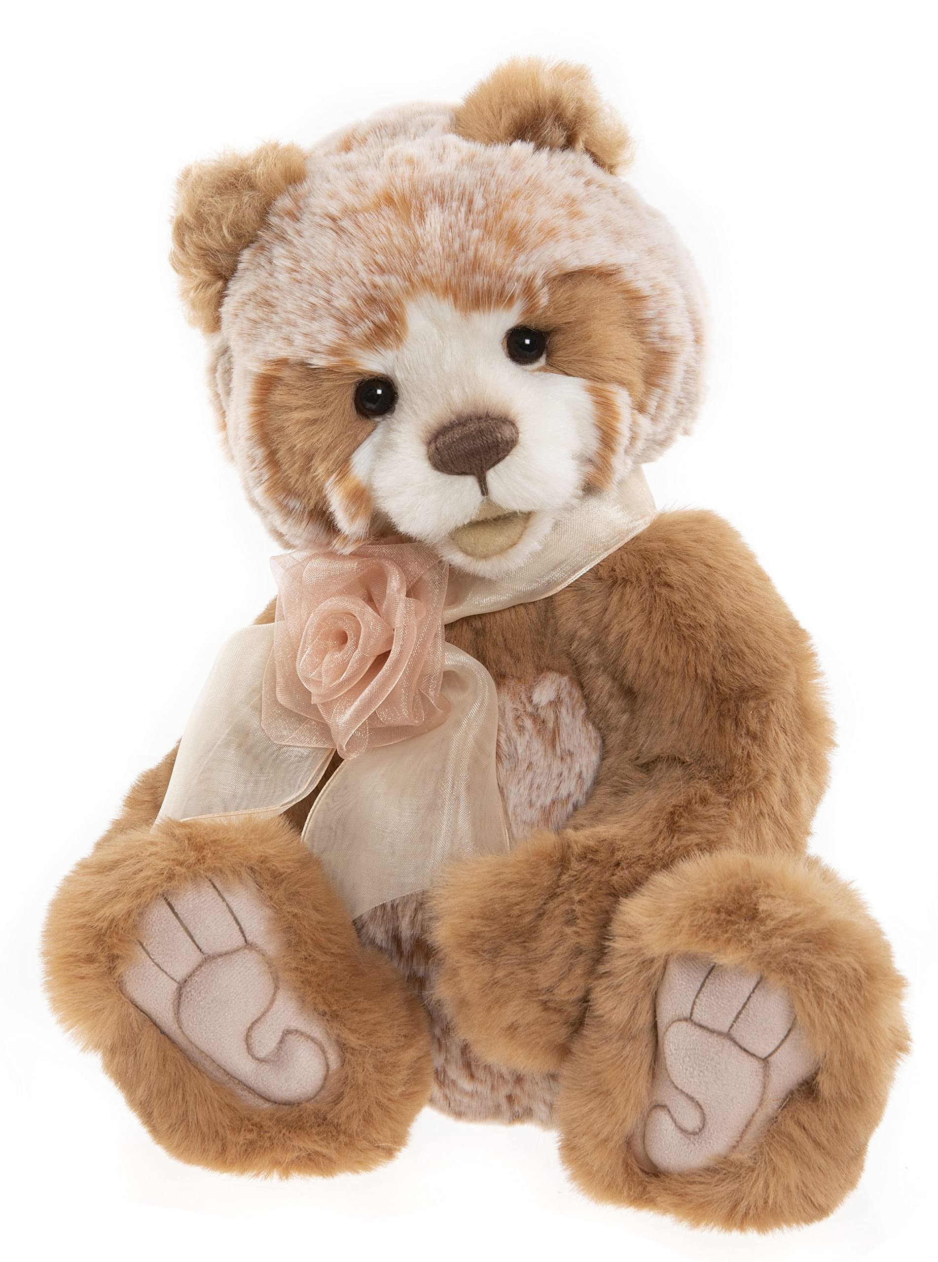 Amazon.co.jp: Charlie Bears 2022 - アインシュタイン | プルモ