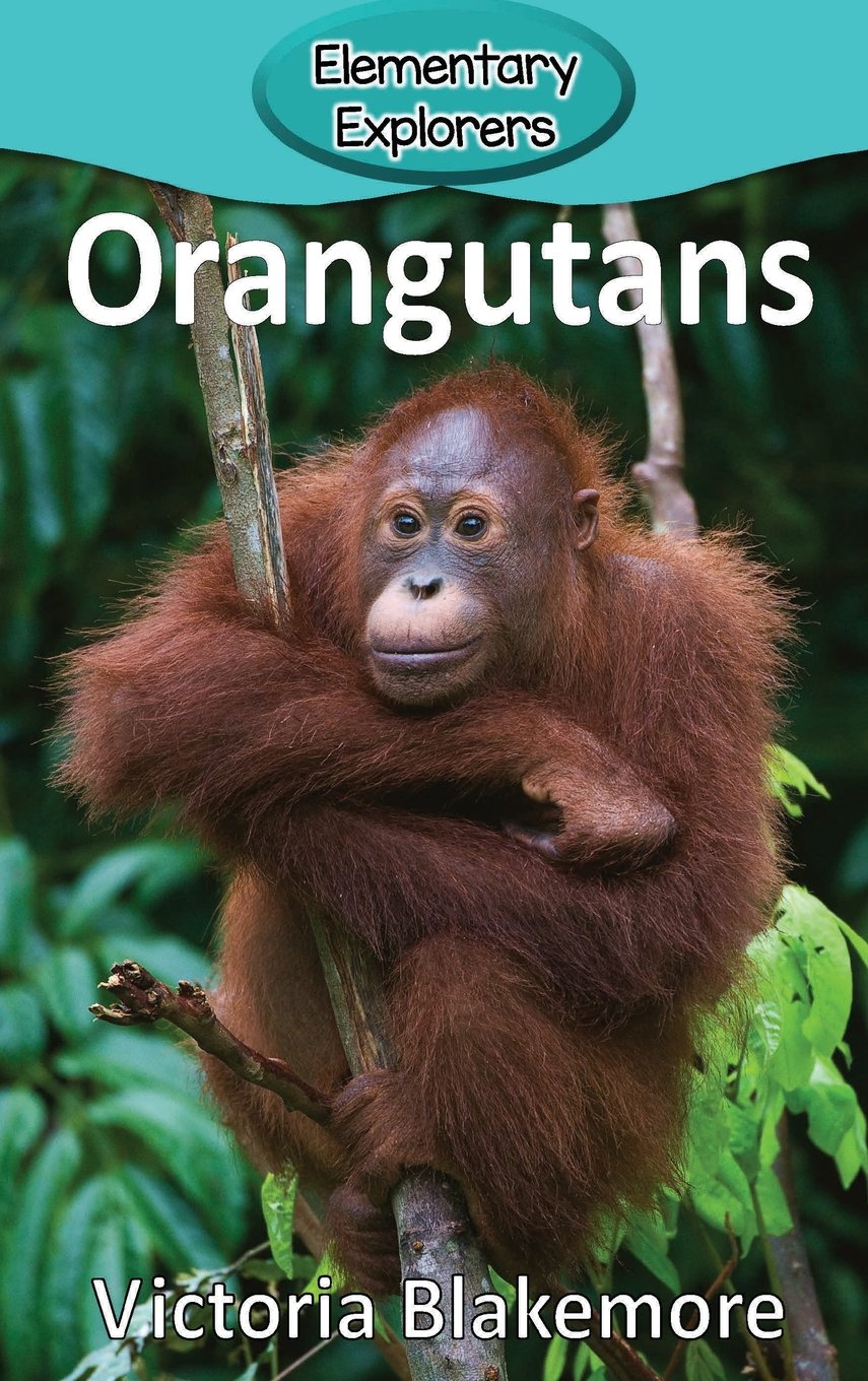 Orangutans (Elementary Explorers)