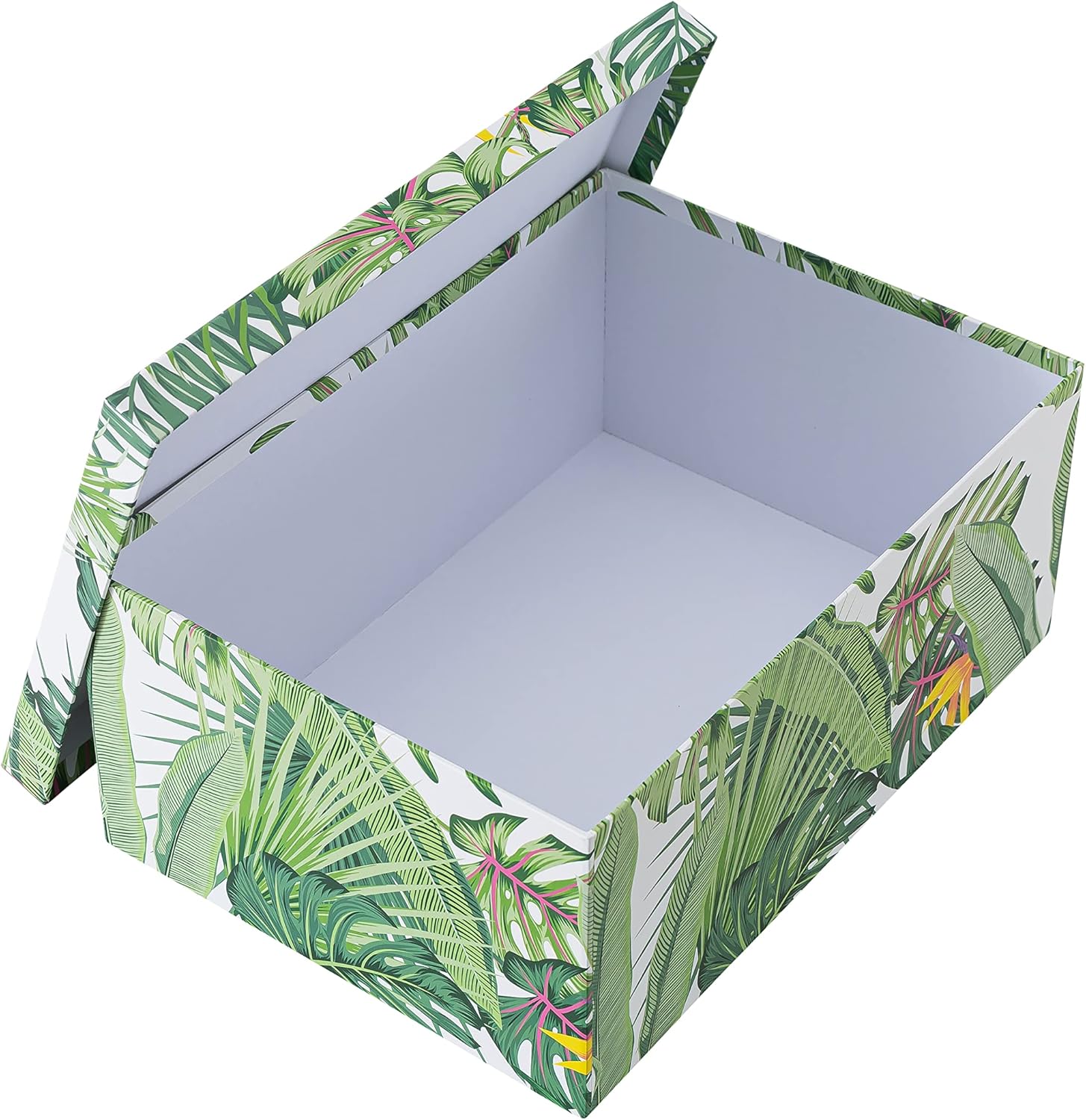 Buy Soul & Lane Decorative Storage Cardboard Boxes with Lids Tropical