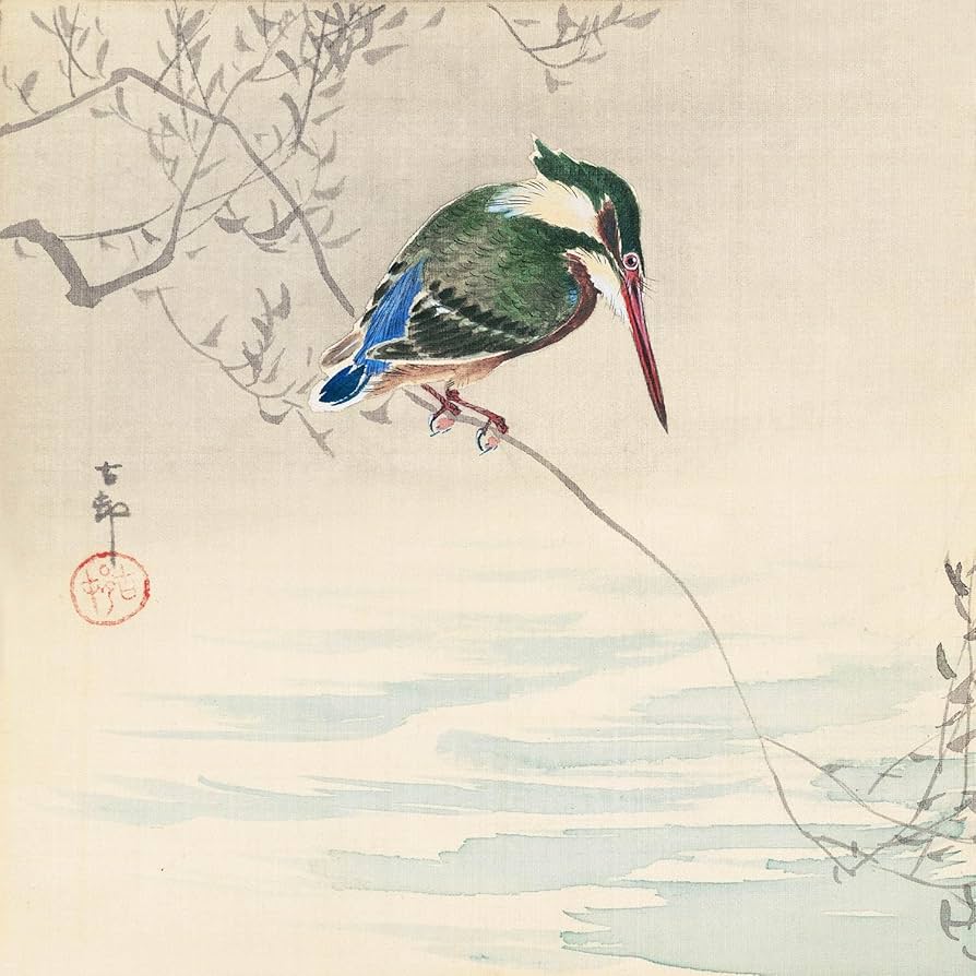 Amazon.co.jp: ROSSO GRAFICO 小原古邨 ポスター川蝉 翡翠