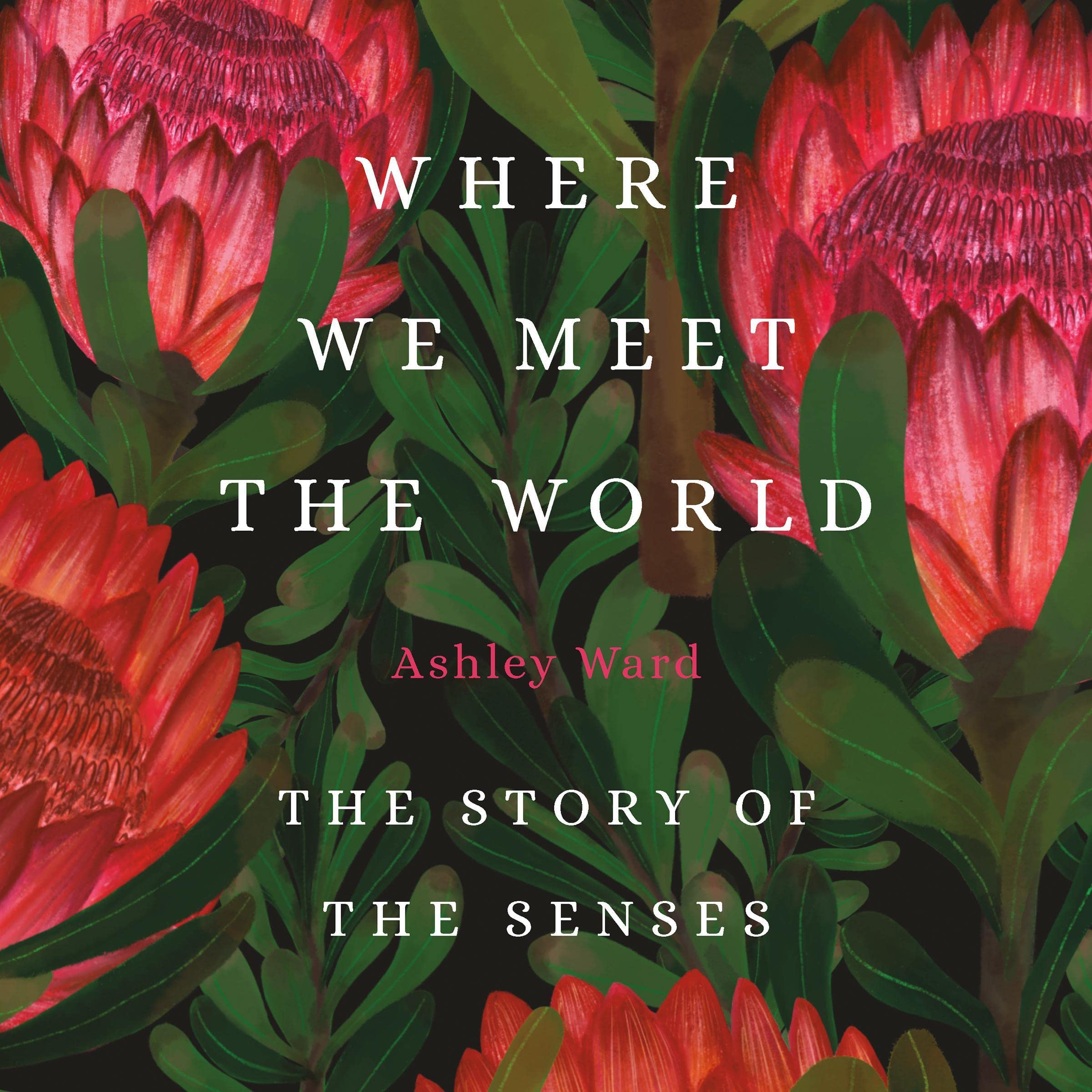 Cover art for Where We Meet the World