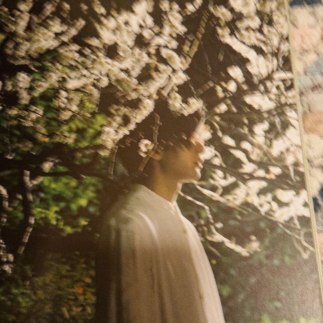 中村倫也 童詩 写真集 中村倫也 写真集 童詩 2018年 初版 帯付き ワニブックス TOMOYA