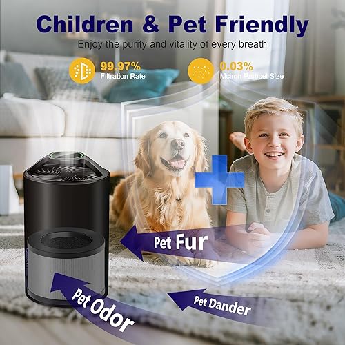 Miniatura 6 de Filtro de repuesto TZ-K1 compatible con purificador de aire ToLife TZ-K1, AROEVE MK01 MK06, filtro HEPA 3 en 1 H12 para varias sustancias, paquete