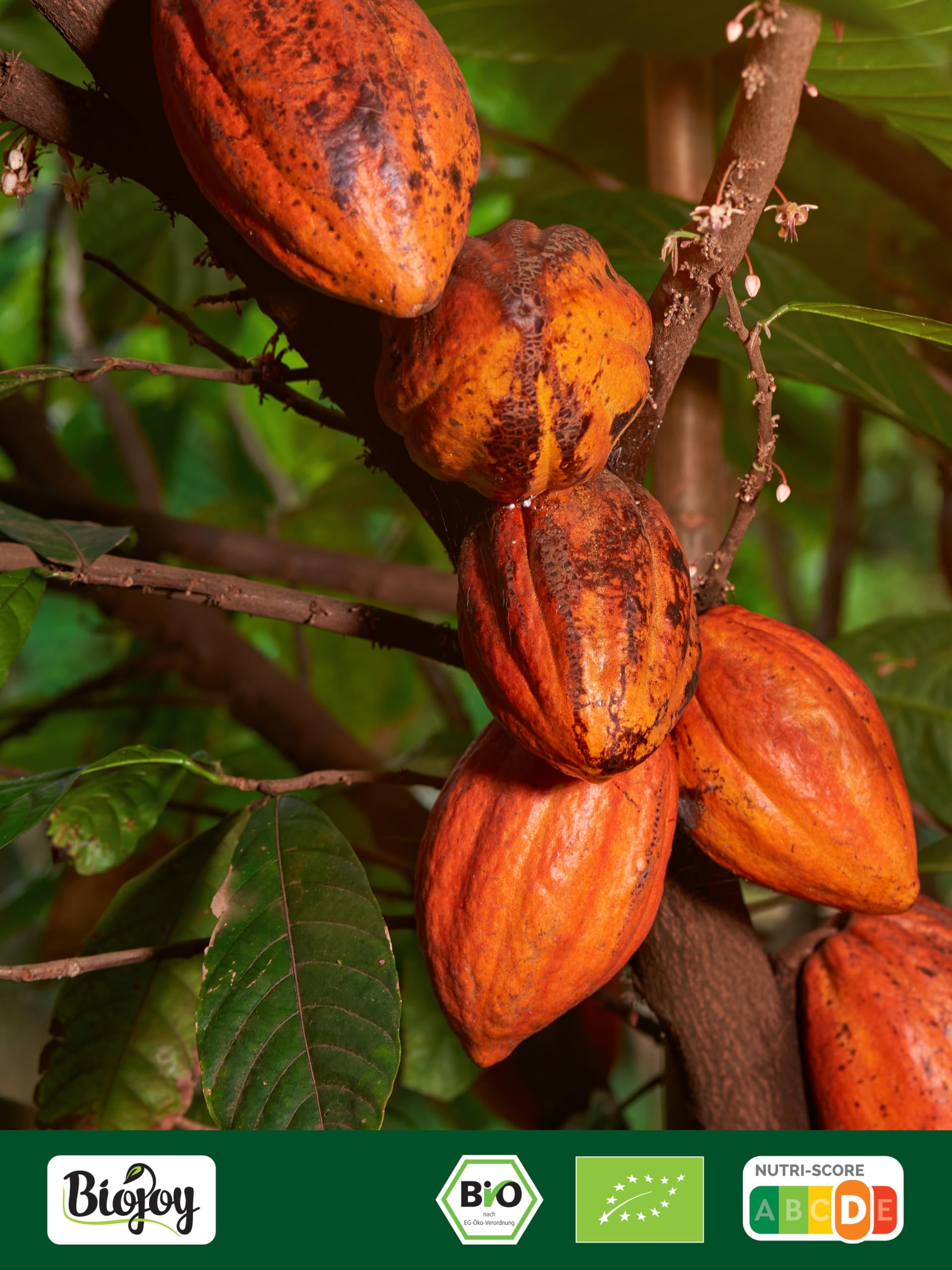 Biojoy BIO-Ziarna kakaowca 1 kg surowe całe bez dodatku cukru Theobroma cacao