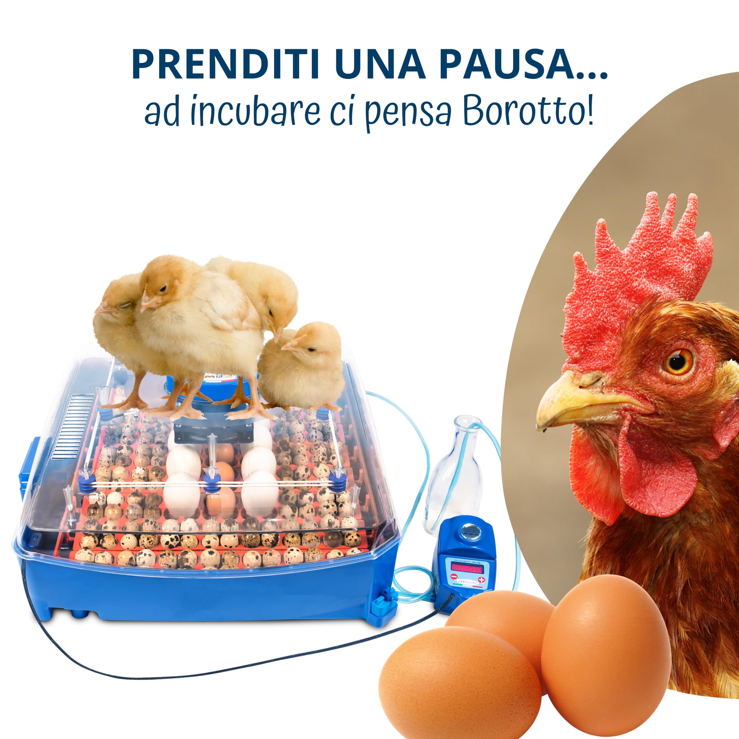 Borotto Lumia Expert | Incubatrice per Uova Automatica con Girauova Automatico, Controllo Temperatura e Umidificatore Automatico Sirio | Made in Italy (56)