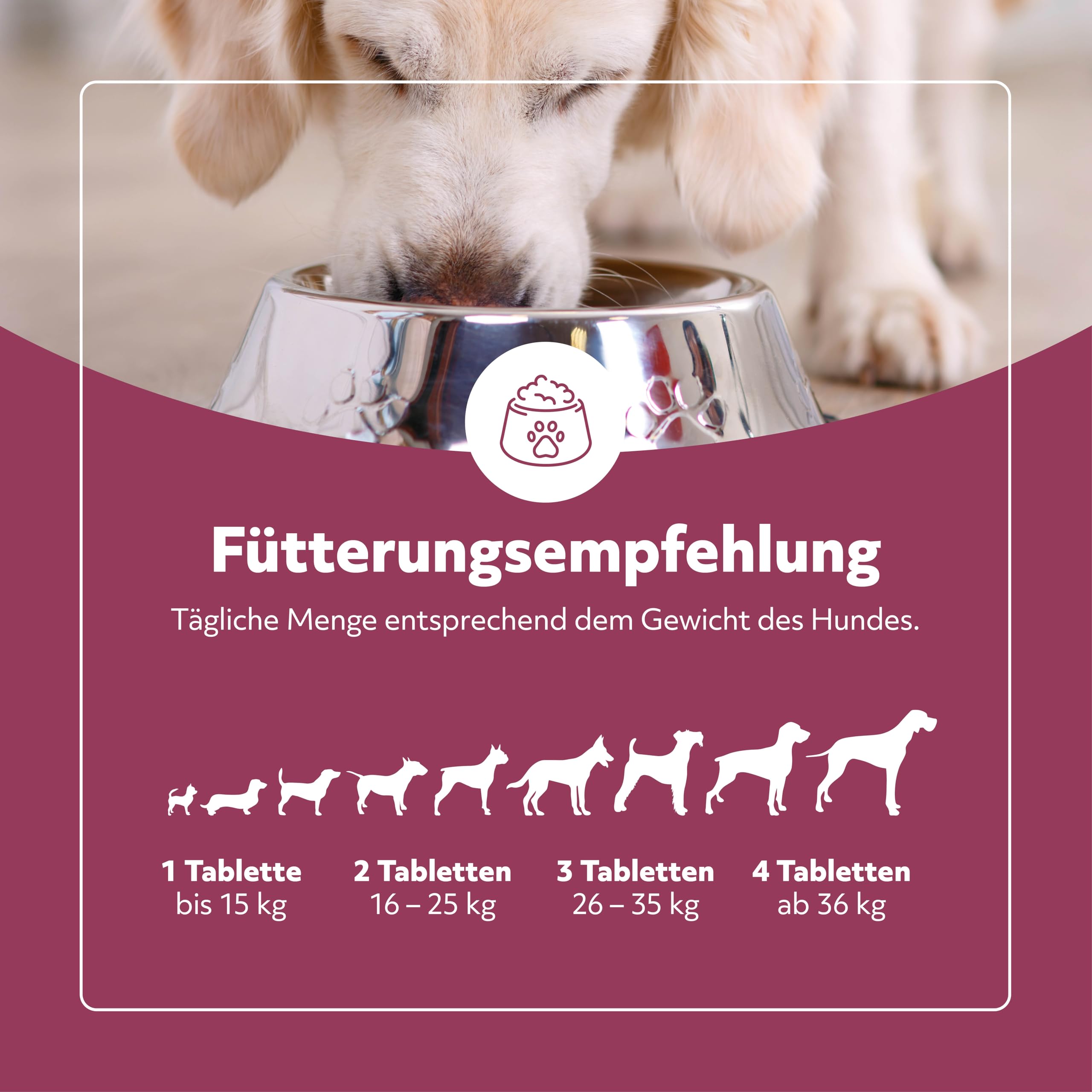 OPC Vital Forte – 120 Tabletten für Hunde – mit antioxidativem Traubenkern-Extrakt