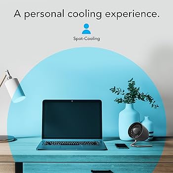 Amazon.com: Vornado Pivot Personal Air Circulator Fan, 6