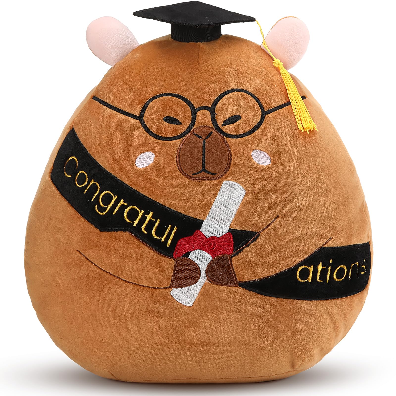 クッション・抱きまくら・ブランケット BMSG Happy Graduation Pouch RYUHEI Amazon.com: Chalyna 10 Inch 2026 Graduation Gift Capybara Stuffed