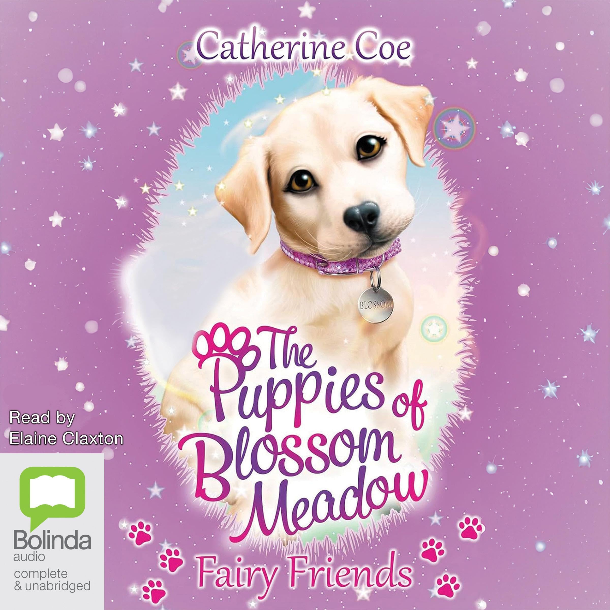 Cover art for Fairy Friends