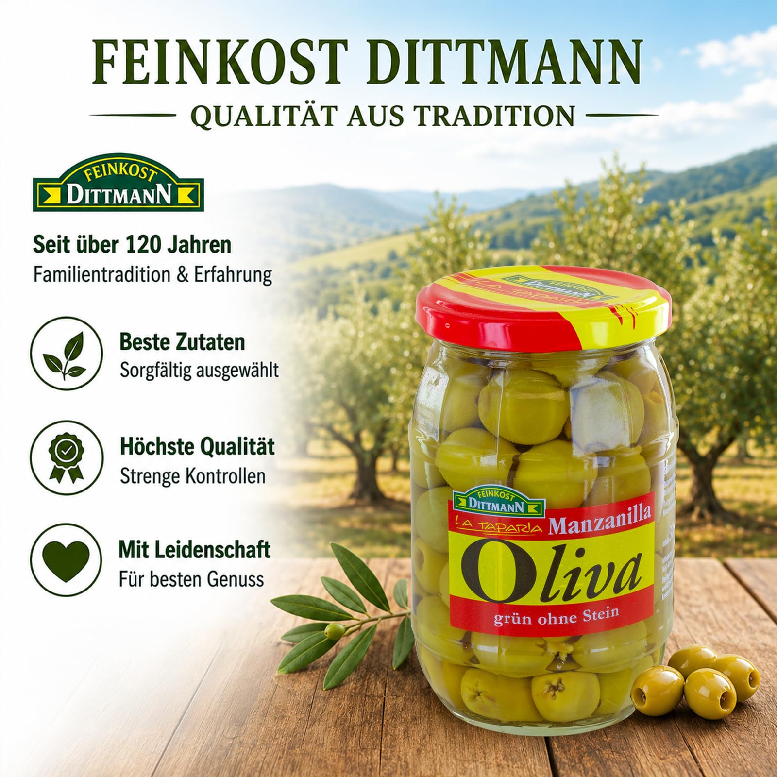 Feinkost Dittmann Oliva Manzanilla Oliven 10er Pack | Grüne spanische Premium Oliven ohne Stein – ideal für Antipasti, Salate, Tapas & mediterrane Küche