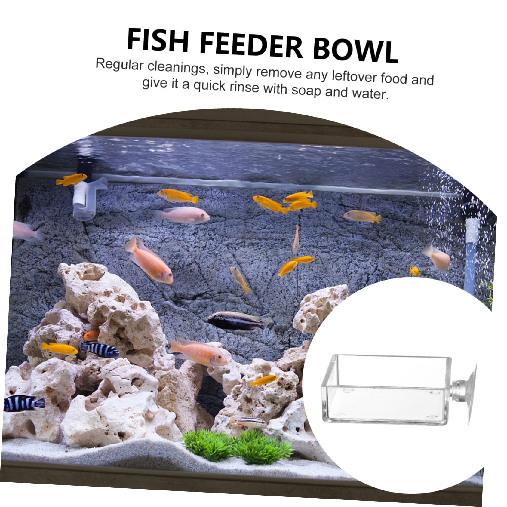 GRIRIW Auto Fish Feeder 5pcs Aquarium Feeder Bowl with Suction Cups Quality Acrylic