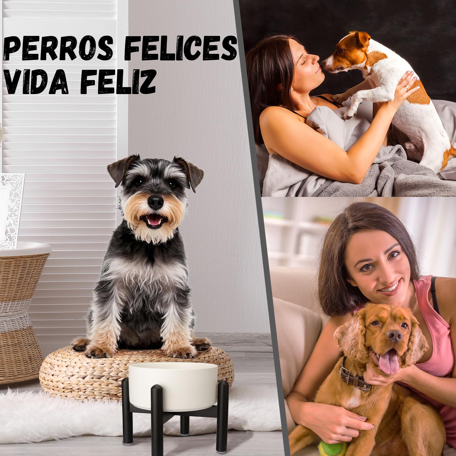Comedero Perro Elevado de Cerámica - Cuenco para Perros Pequeños y Medianos - Plato Comida con Soporte de Acero Inoxidable - 850 ml - Gris
