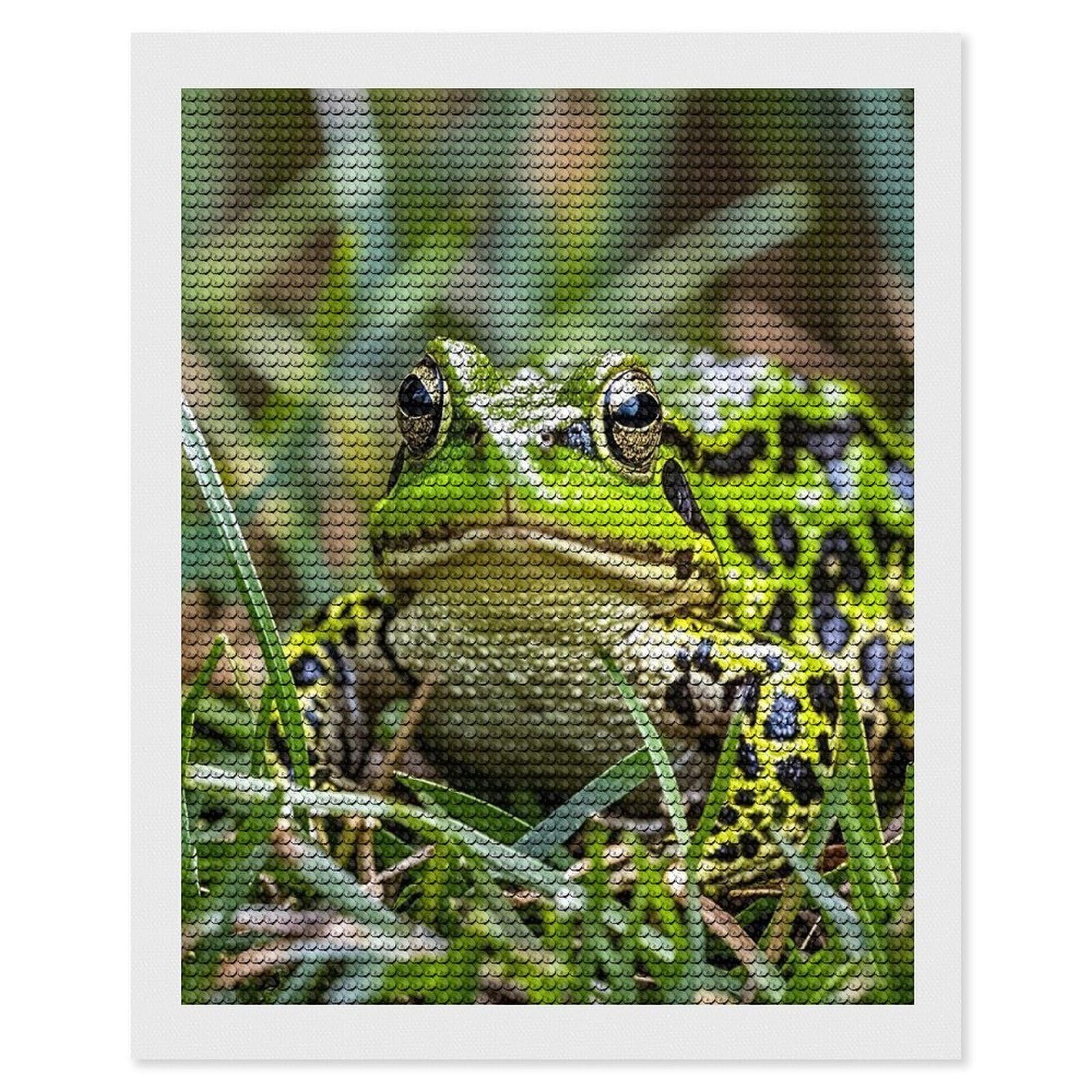 FekiLoot Frog Diamond Painting Kits for Adults Full Round Drill Diamond Art Kits for Beginners 5D DIY Diamond Dots Paintings Diamonds Pictures Gem Art Home Wall Decor 16"x20"