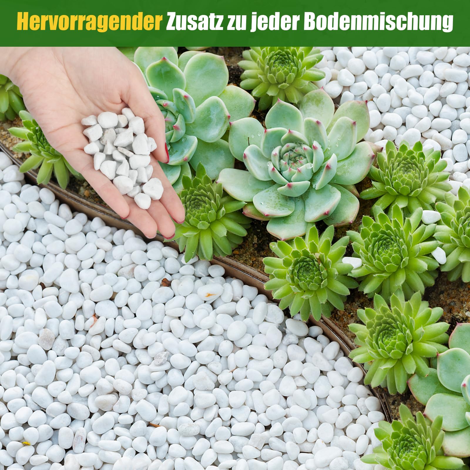 Perlite grossière pour Plantes (1 à 2 cm de diamètre), additif Naturel pour Le Sol, améliore Le Drainage et la Ventilation, favorise la santé du Sol et la Croissance des Racines (10L)