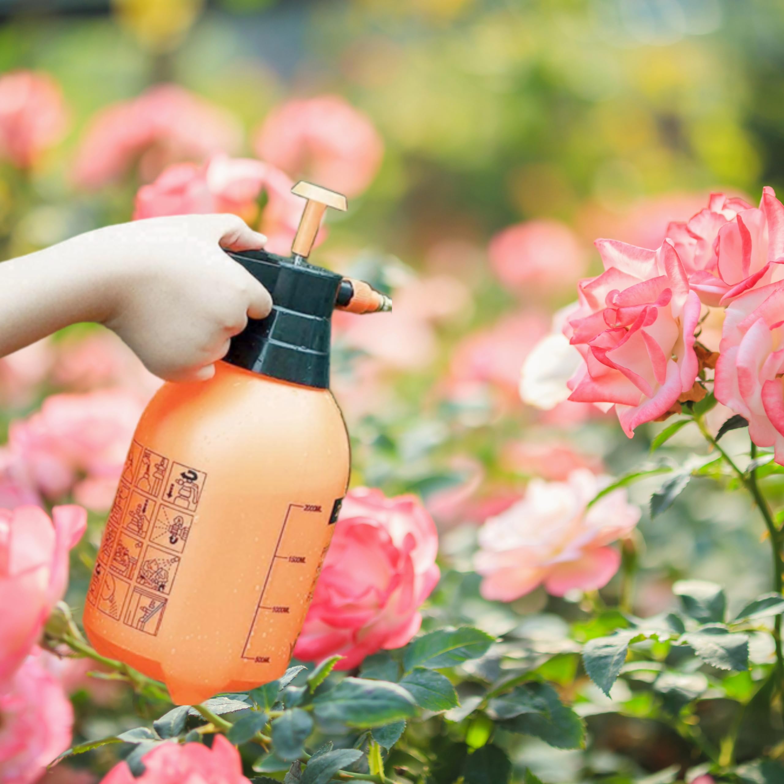 Garden Pressure Sprayer 2 L | Gardening Water Pump Sprayer | Spray Bottles for Garden Plants and Lawn | Plant Watering Can (B0CVLGH348) Amazon Price History, Amazon Price Tracker
