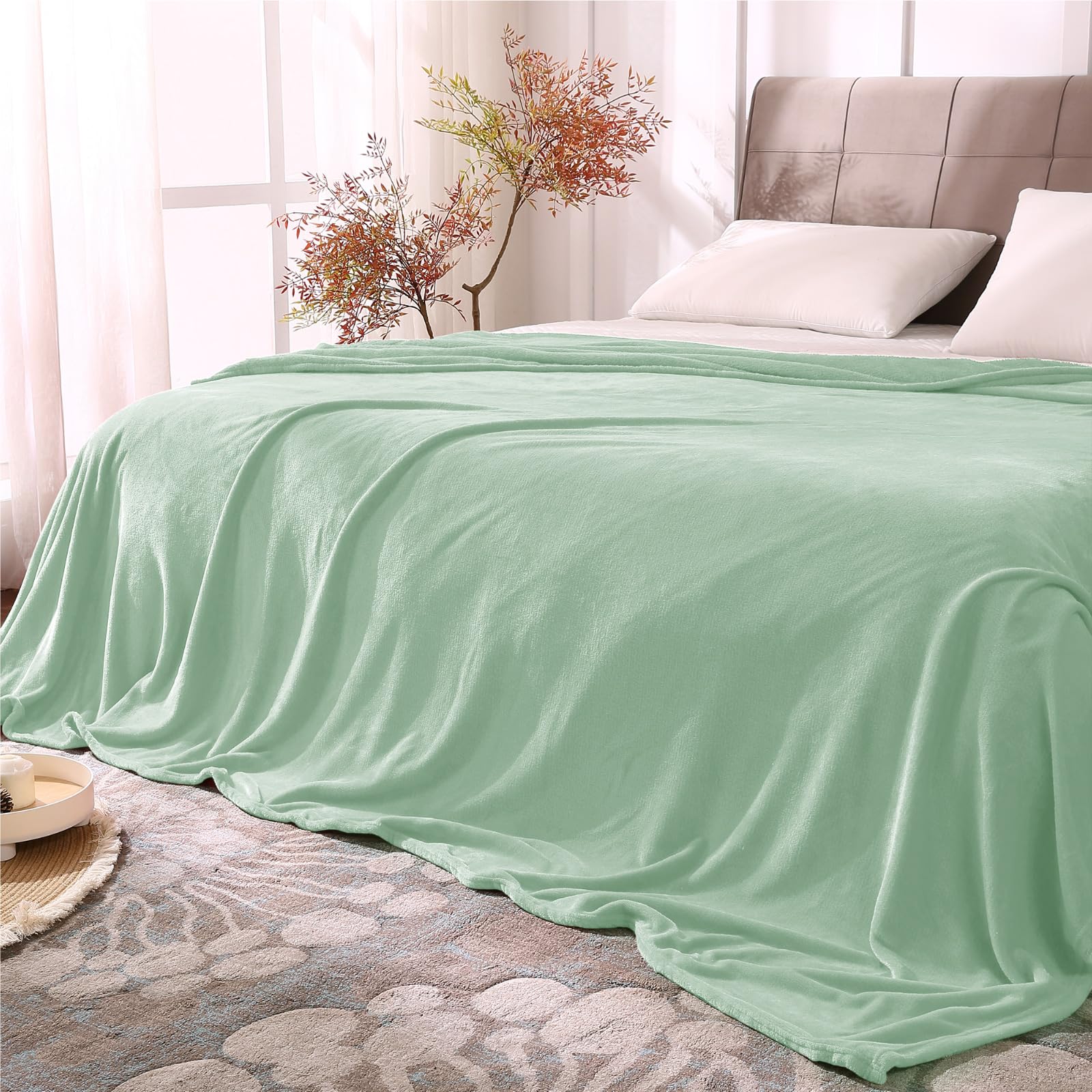 BEDELITE Fleece Blankets Queen Size Mint Green Throw Blankets for Bed, Luxury Plush Cozy Fuzzy Blanket 90x90 inches, Super Soft Warm Lightweight Throw Blanket All Seasons Suitable