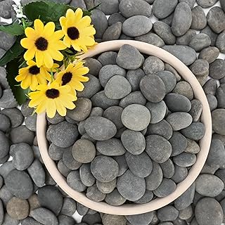 NUPICK 3lb Mexican Beach Pebbles, 1