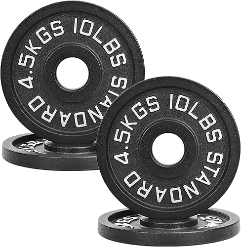 2" Cast Iron Weight Plates | 2.5LB to 45LB Standard