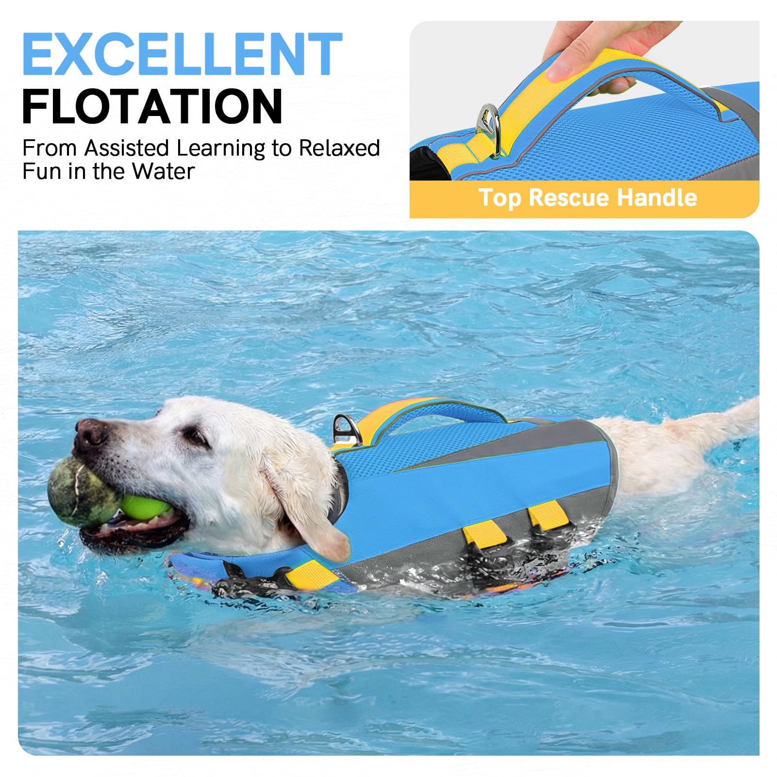 Schwimmweste Hund – Verstellbare Rettungsweste für kleine, mittlere & große Hunde mit robustem Griff & reflektierenden Streifen, ideal für Boot, See & Schwimmen (Blau M)