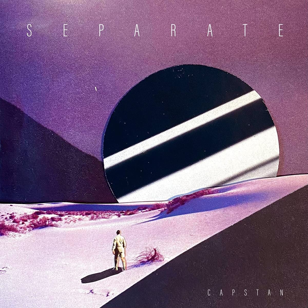 Separate [VINYL]