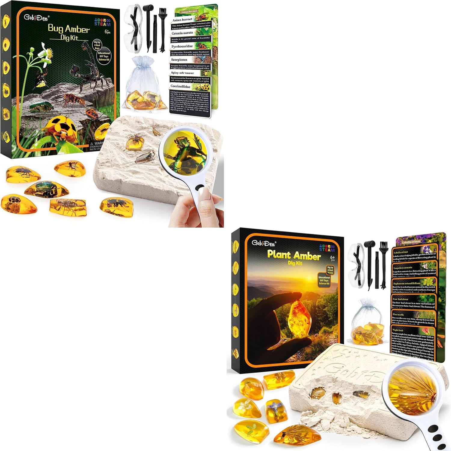 GobiDex Amber Dig KitArtificial Insect Plant Resin