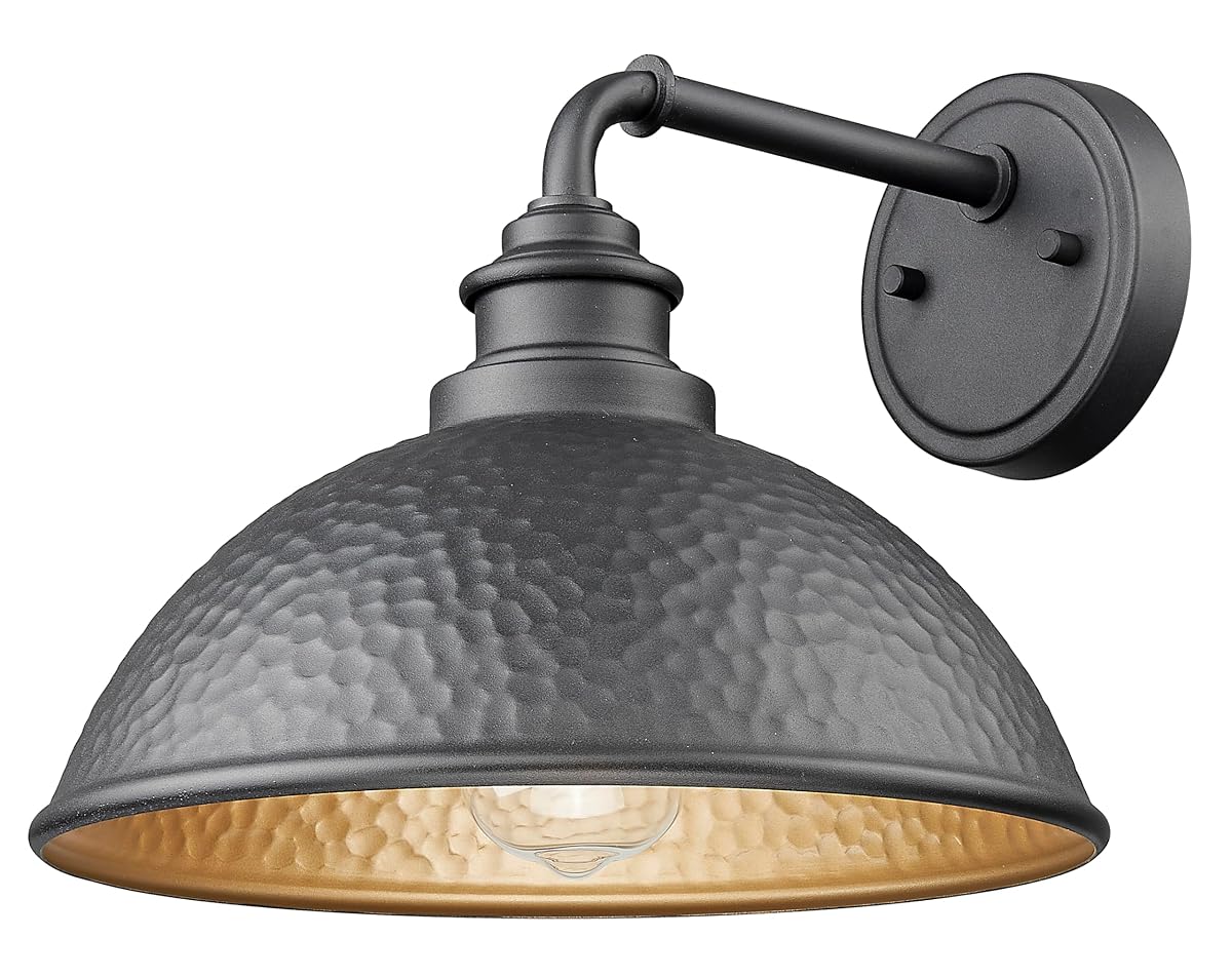 Acclaim Lighting 10.5 in. 1-Light Hammered Black with Matte Gold Interior